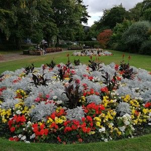 Meet your Posher, Maya